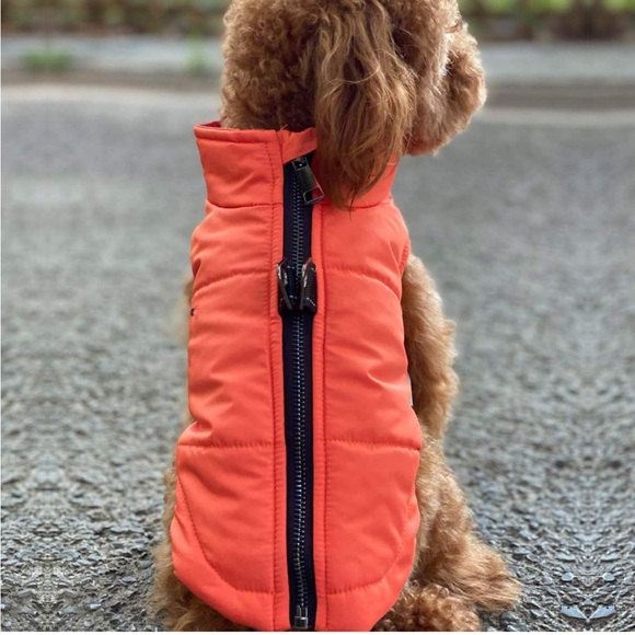 LoveLongLong Other - New Dog Winter Coat Windproof Zippered Jacket Breathable